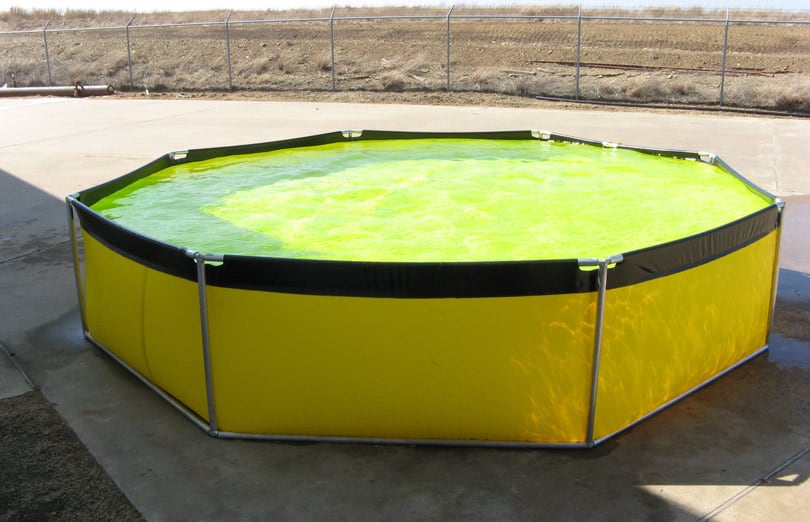 Custom Yellow Aqua Type II Tank