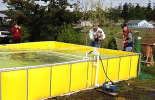 Fish Holding water tanks