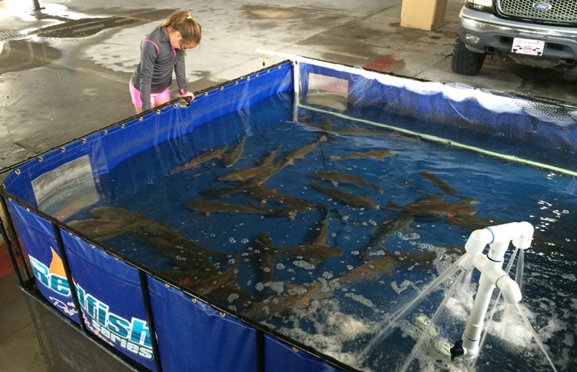 Fish Holding Tanks Husky Portable Containment