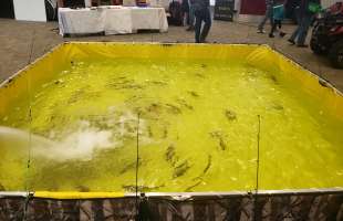 Camo vinyl indoor fishing tank
