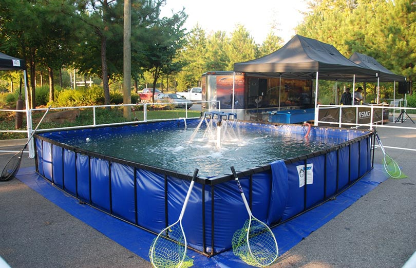 Fishing in a Folding Frame Tank