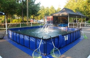 Fishing in a Folding Frame Tank